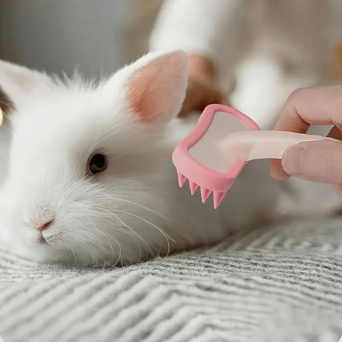 Brosse à Lapin - La cage à Lapin