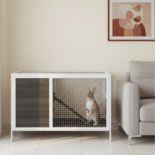 Cage à lapin nain d'intérieur - Salon - La cage à Lapin