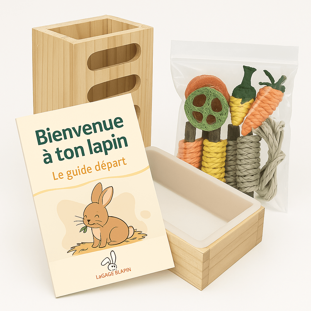 Clapier lapin extérieur - Maison rouge - La cage à Lapin