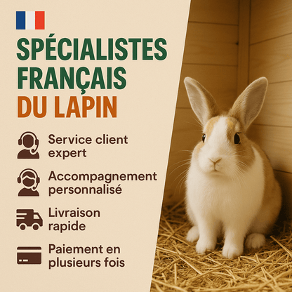 Grand enclos transparent et modulable - La cage à Lapin