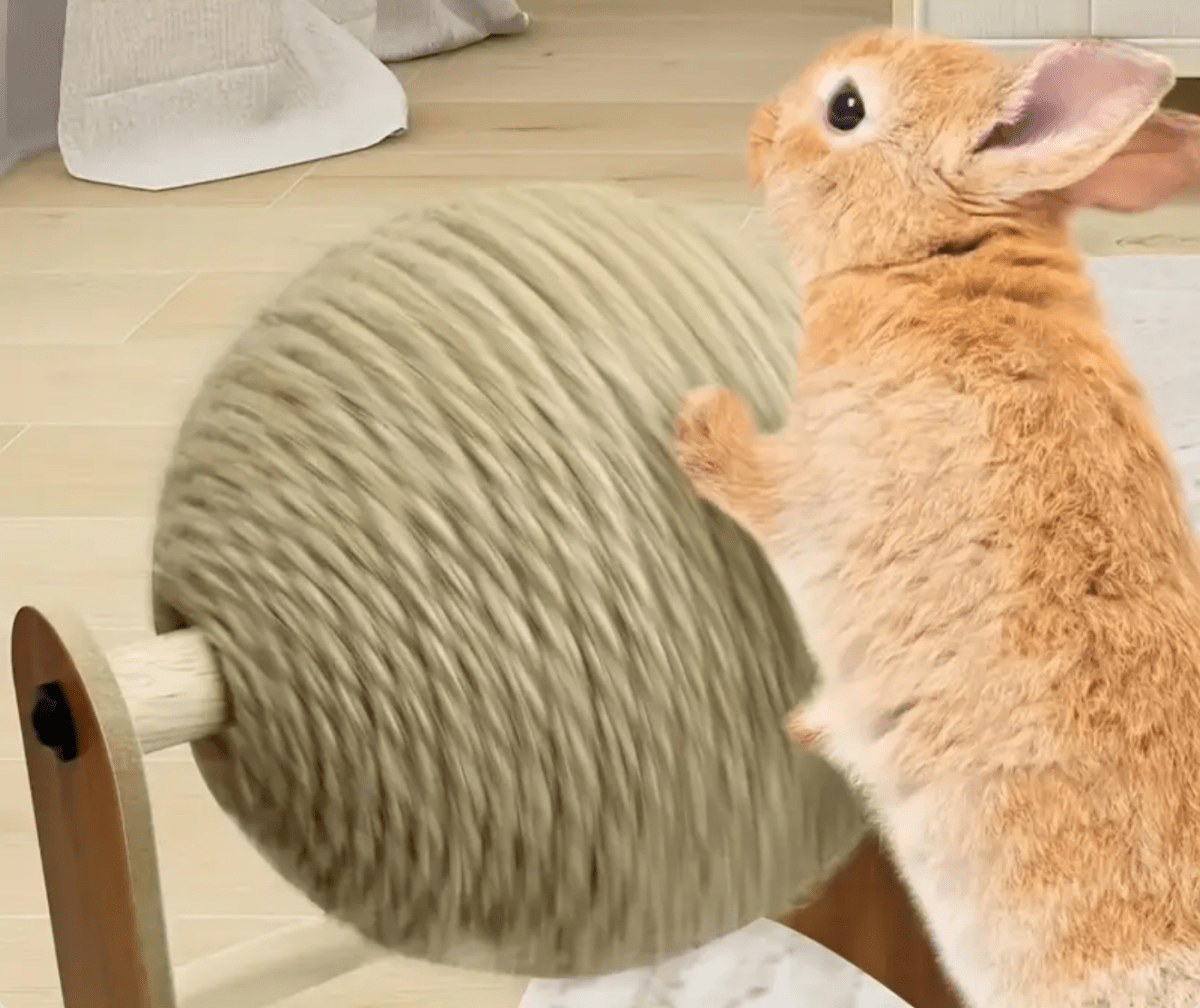 Griffoir à lapin - La cage à Lapin