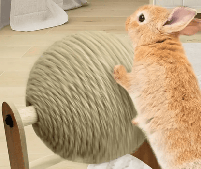 Griffoir à lapin - La cage à Lapin