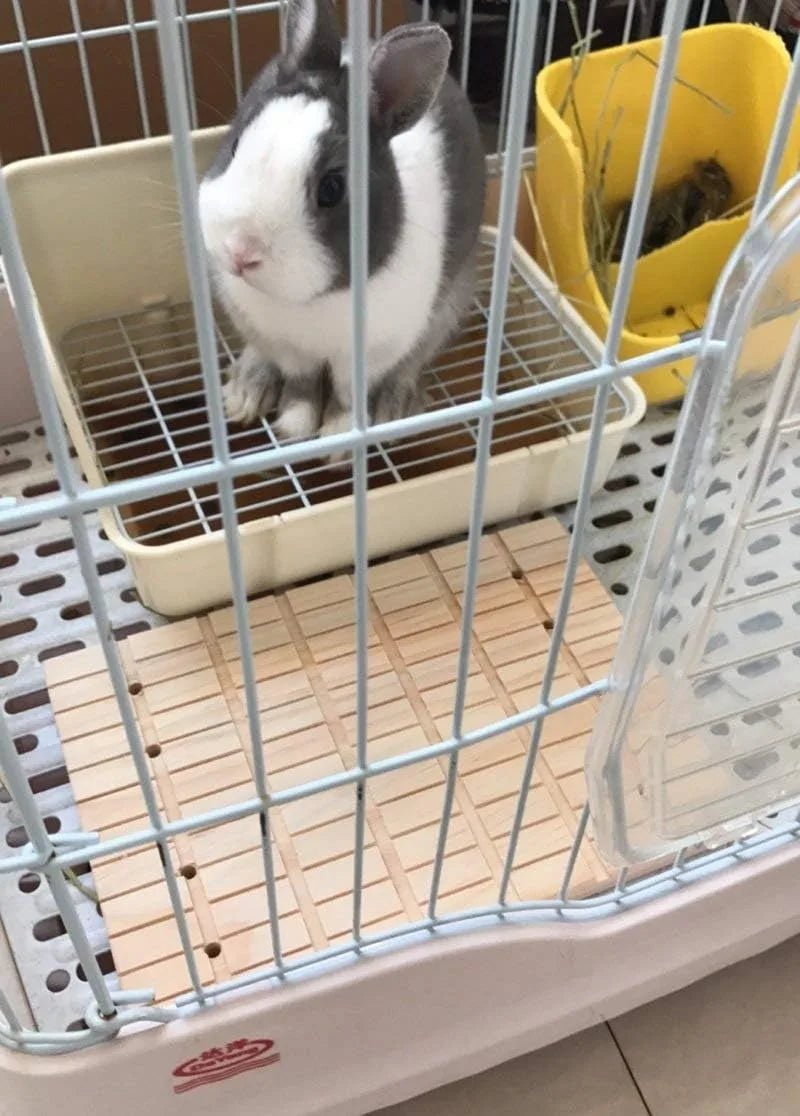 Griffoir en bois - La cage à Lapin