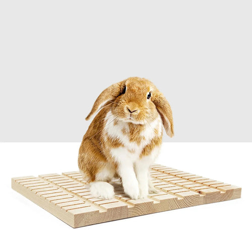 Griffoir en bois - La cage à Lapin