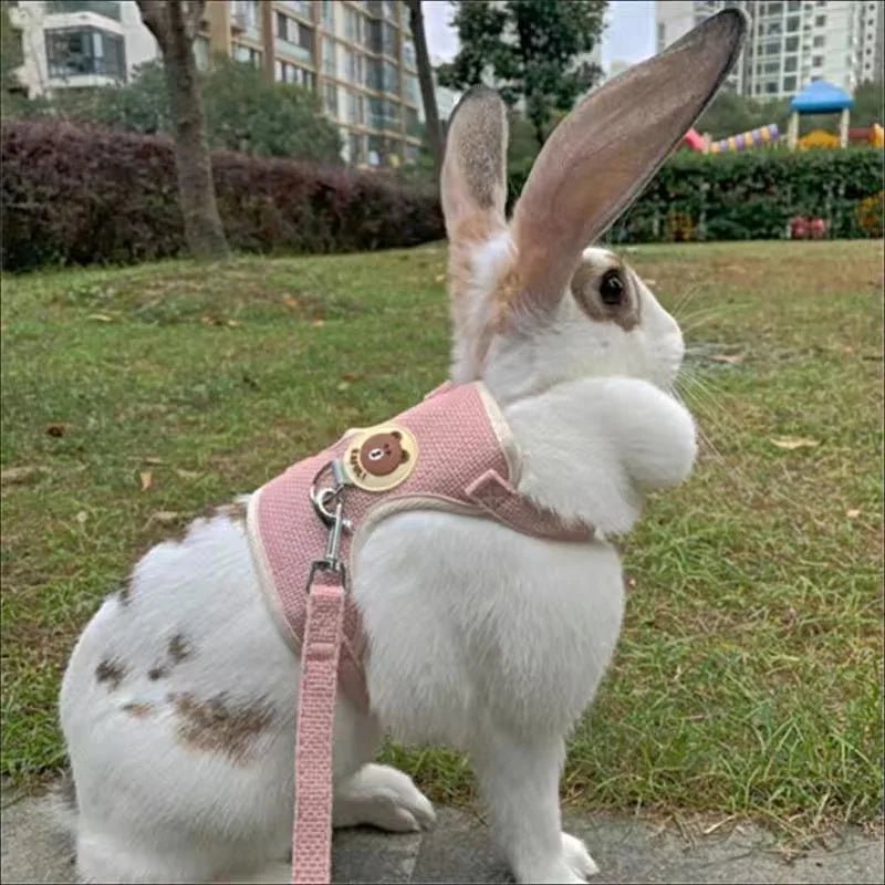 Harnais pour Lapin - La cage à Lapin