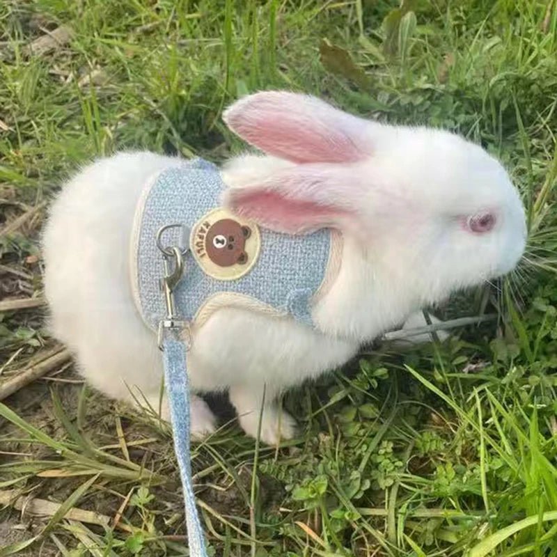 Harnais pour Lapin - La cage à Lapin