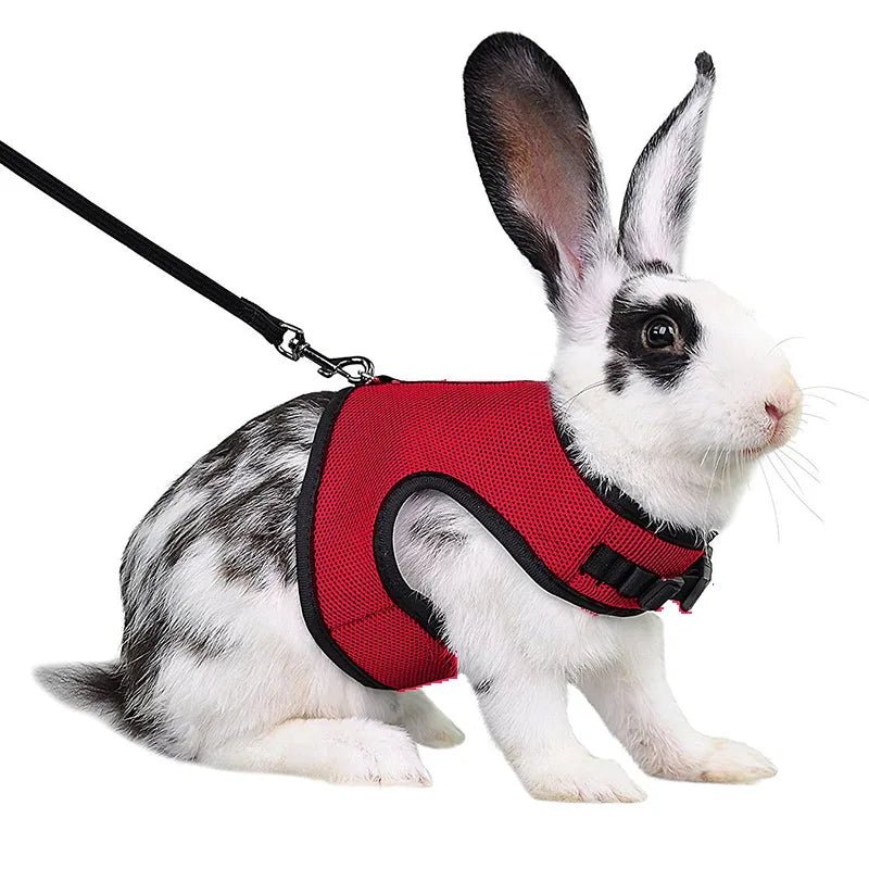 Laisse confortable et légère - La cage à Lapin