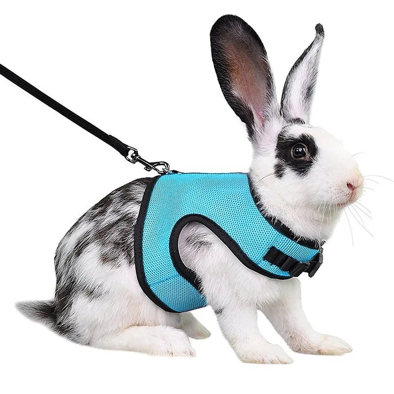 Laisse confortable et légère - La cage à Lapin
