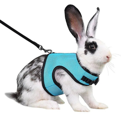 Laisse confortable et légère - La cage à Lapin
