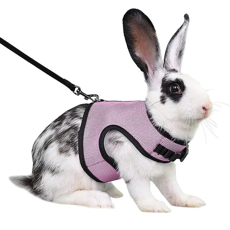 Laisse confortable et légère - La cage à Lapin