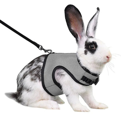 Laisse confortable et légère - La cage à Lapin