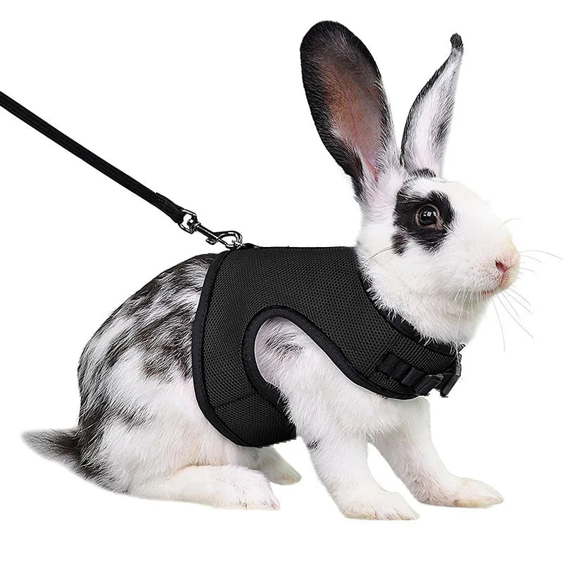 Laisse confortable et légère - La cage à Lapin